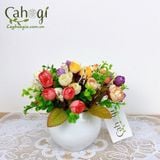 Chậu Hồng Bi Mini Cắm Sẵn 91343