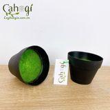 Chậu Nhựa Phủ Cỏ Xanh 674