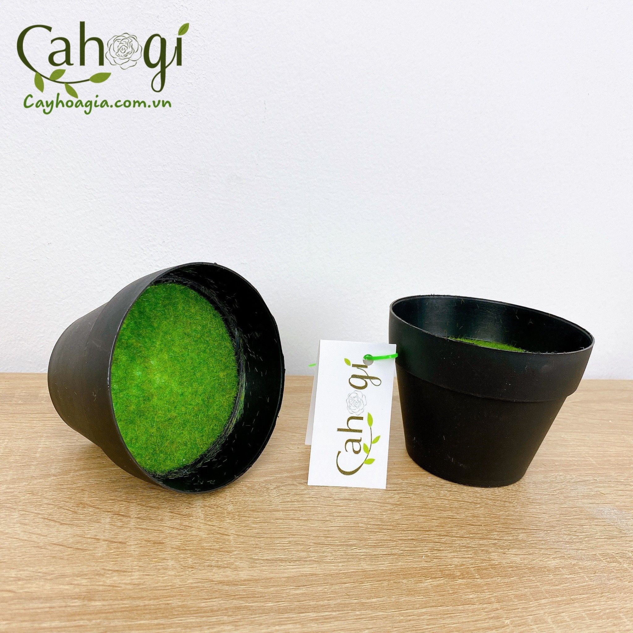 Chau_nhua_cam_hoa_phu_co_4