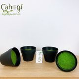 Chậu Nhựa Phủ Cỏ Xanh 674