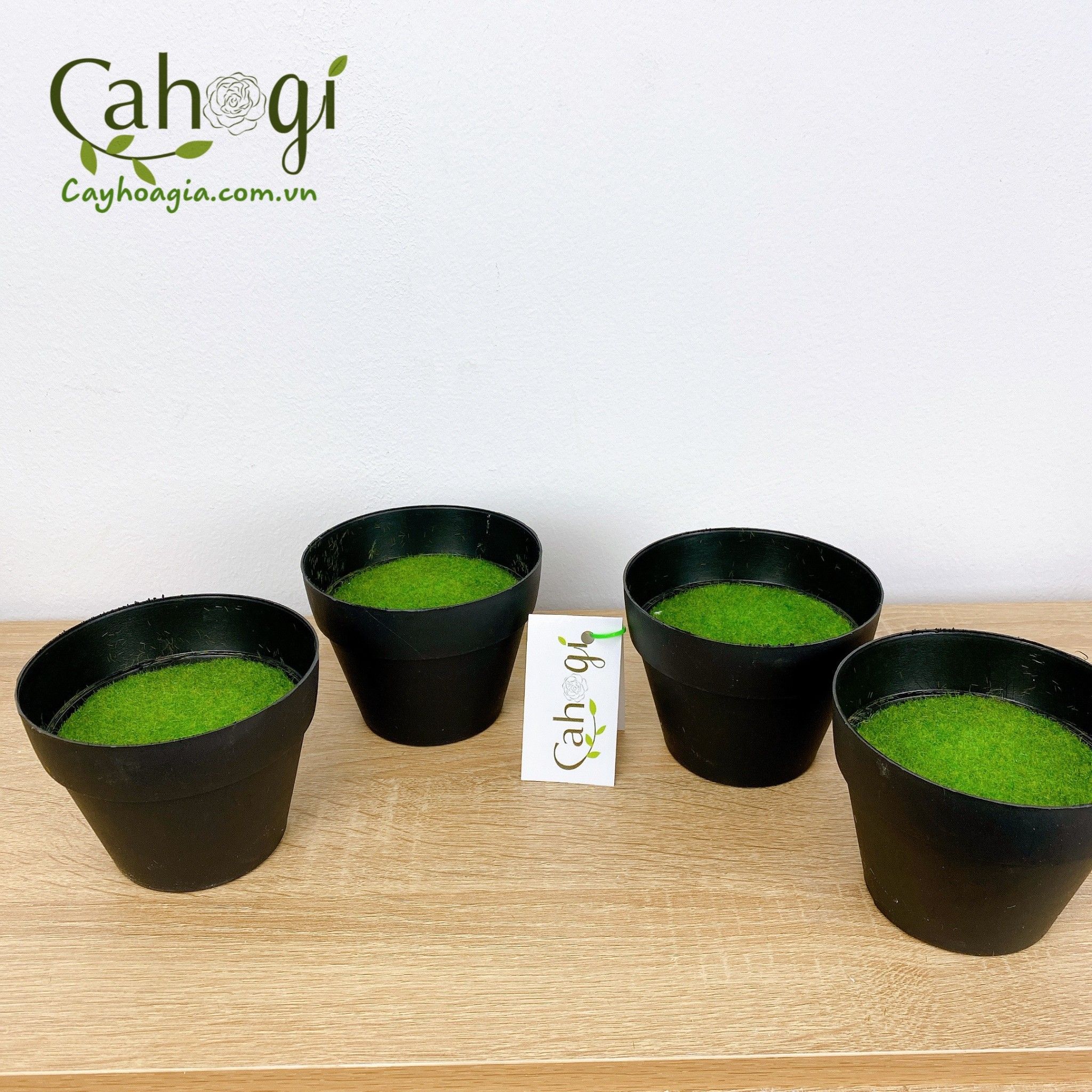 Chau_nhua_cam_hoa_phu_co_3