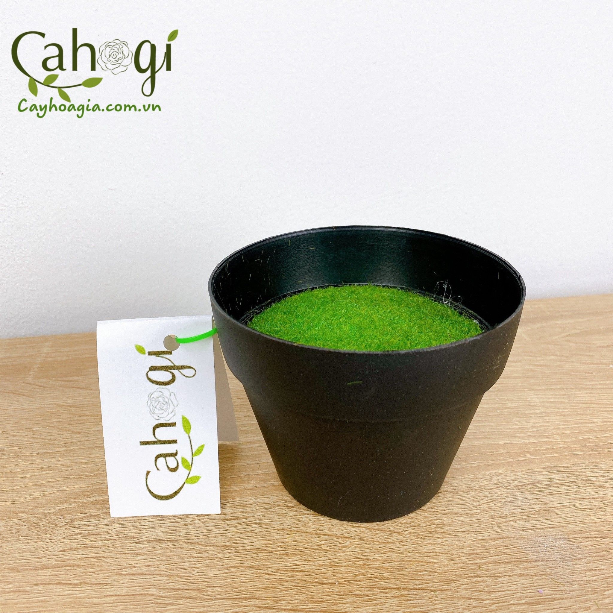 Chau_nhua_cam_hoa_phu_co_5