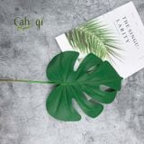 Lá Cây - Lá Rùa Trang Trí Decol