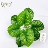 Cây Nhựa Đuôi Công Lá Đậm 9 Lá