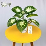 Cây Giả Cây Ngân Hậu 30cm