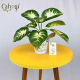 Cây Giả Cây Ngân Hậu 30cm