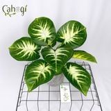 Cây Giả Cây Ngân Hậu 30cm