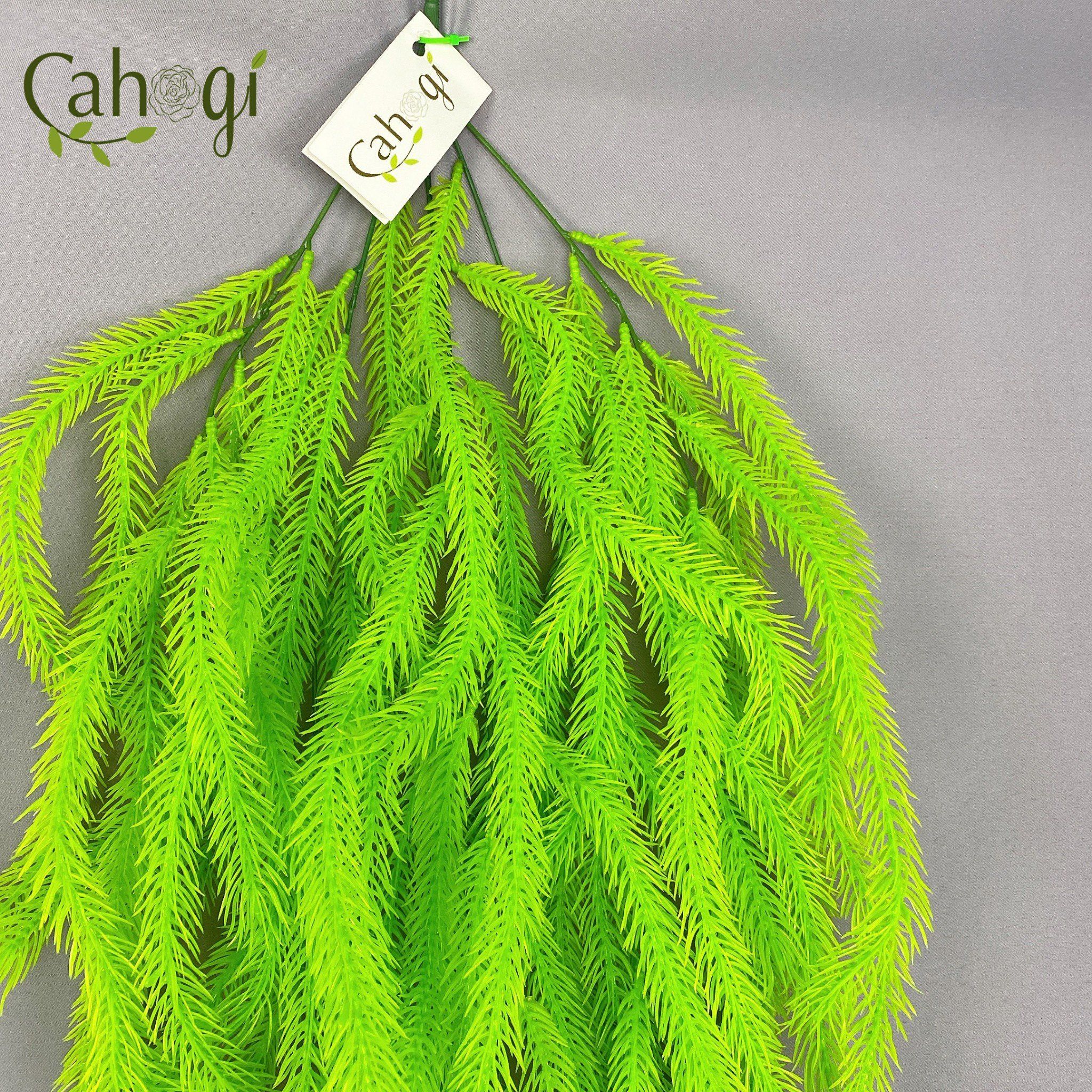 chum-day-leo-trang-tri-duoi-chon-2