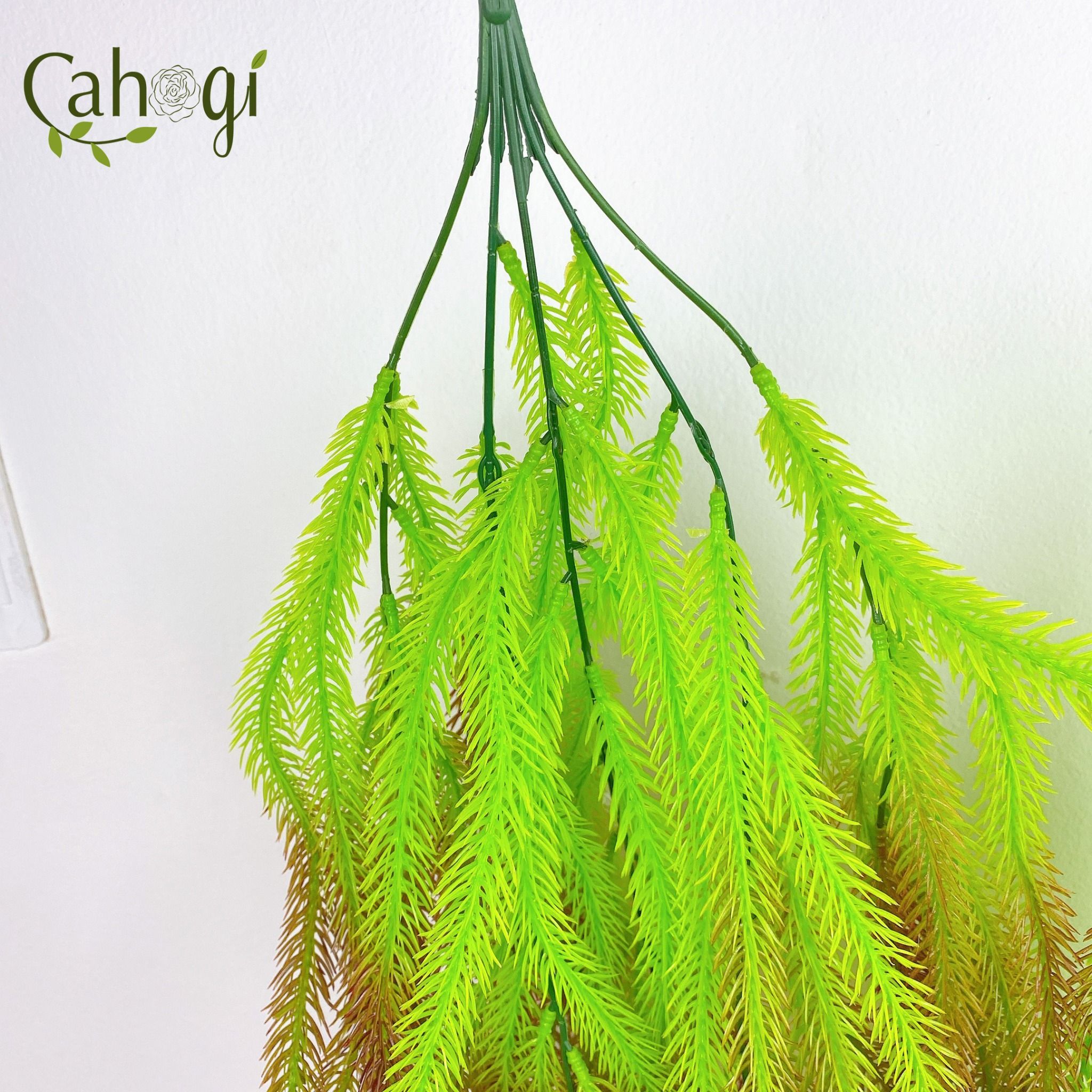 chum-day-leo-trang-tri-duoi-chon-8