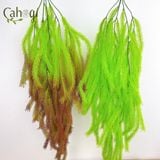 Dây Leo Giả - Chùm Dây Rong Đuôi Chồn Cỡ Lớn 90 Cm