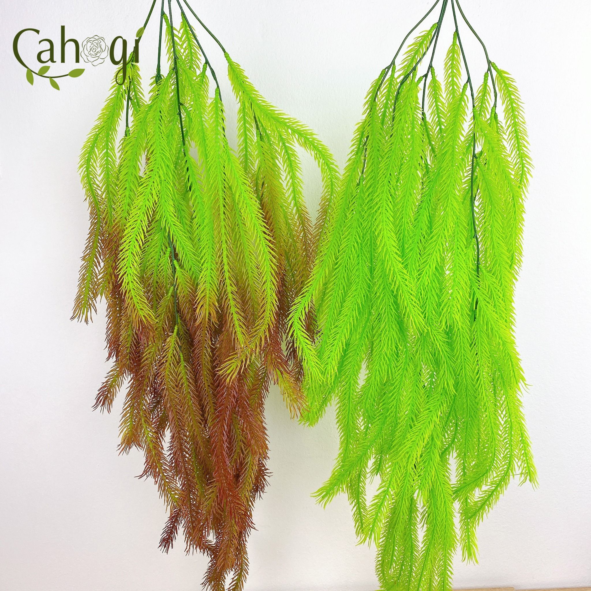 chum-day-leo-trang-tri-duoi-chon-10