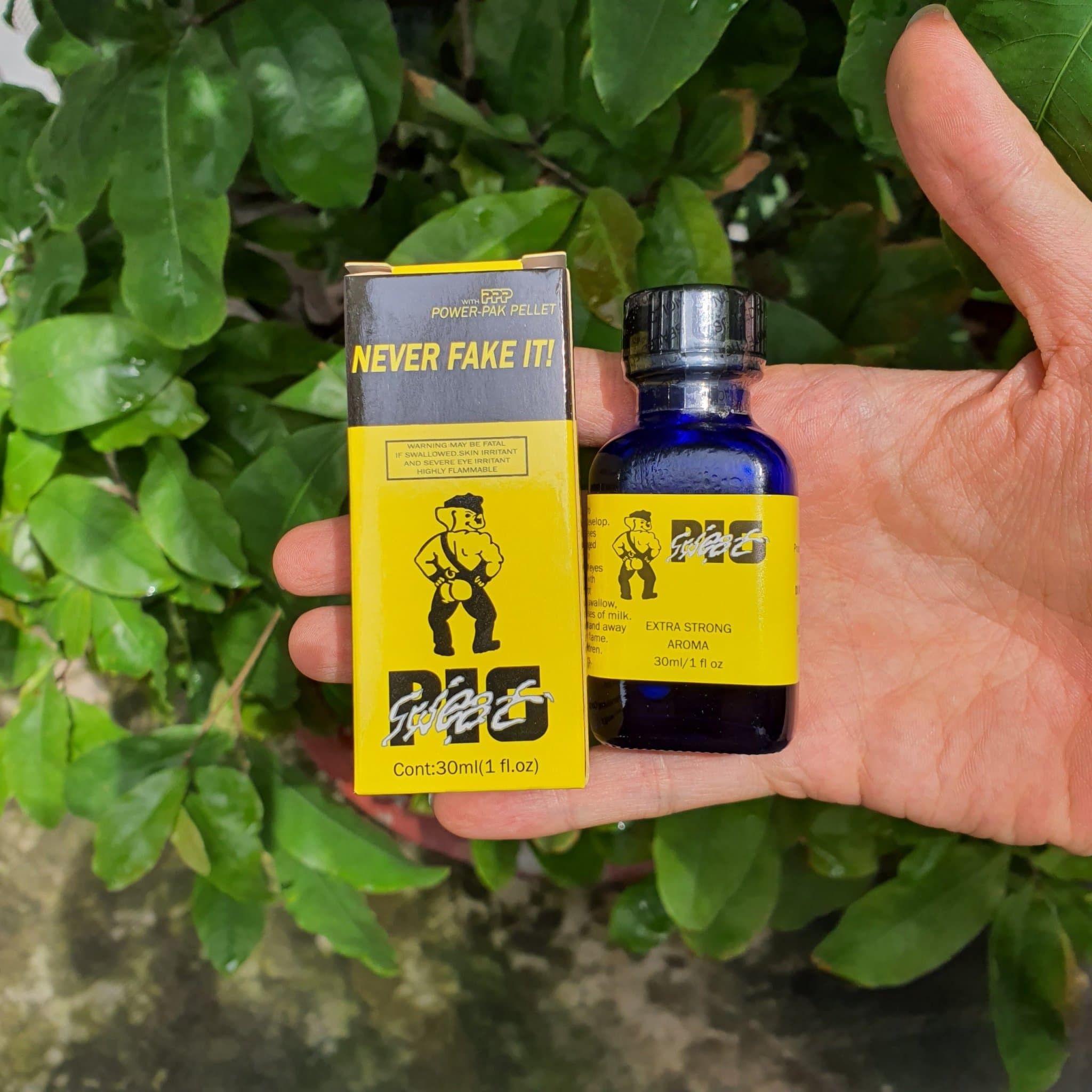 POPPER PIG BOT  30ML  (TẶNG KÈM BCS + 1V CƯƠNG DƯƠNG  + FREE SHIP 6KM  )