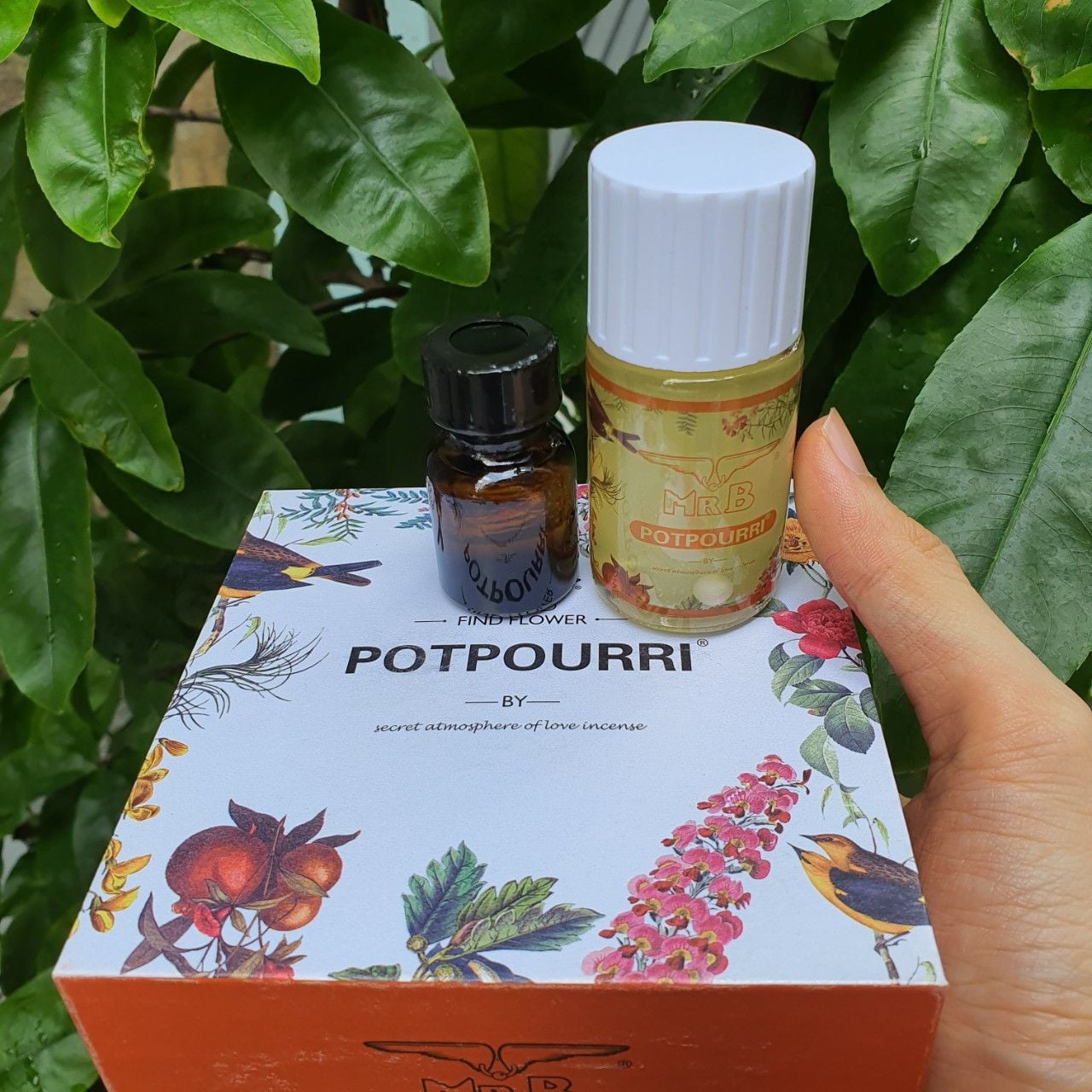 POPPER THƠM MÙI HOA HỒNG DẠ QUANG ( TẶNG KÈM 1 LỌ 10ML + BCS DUREX + FREE SHIP 6KM  )