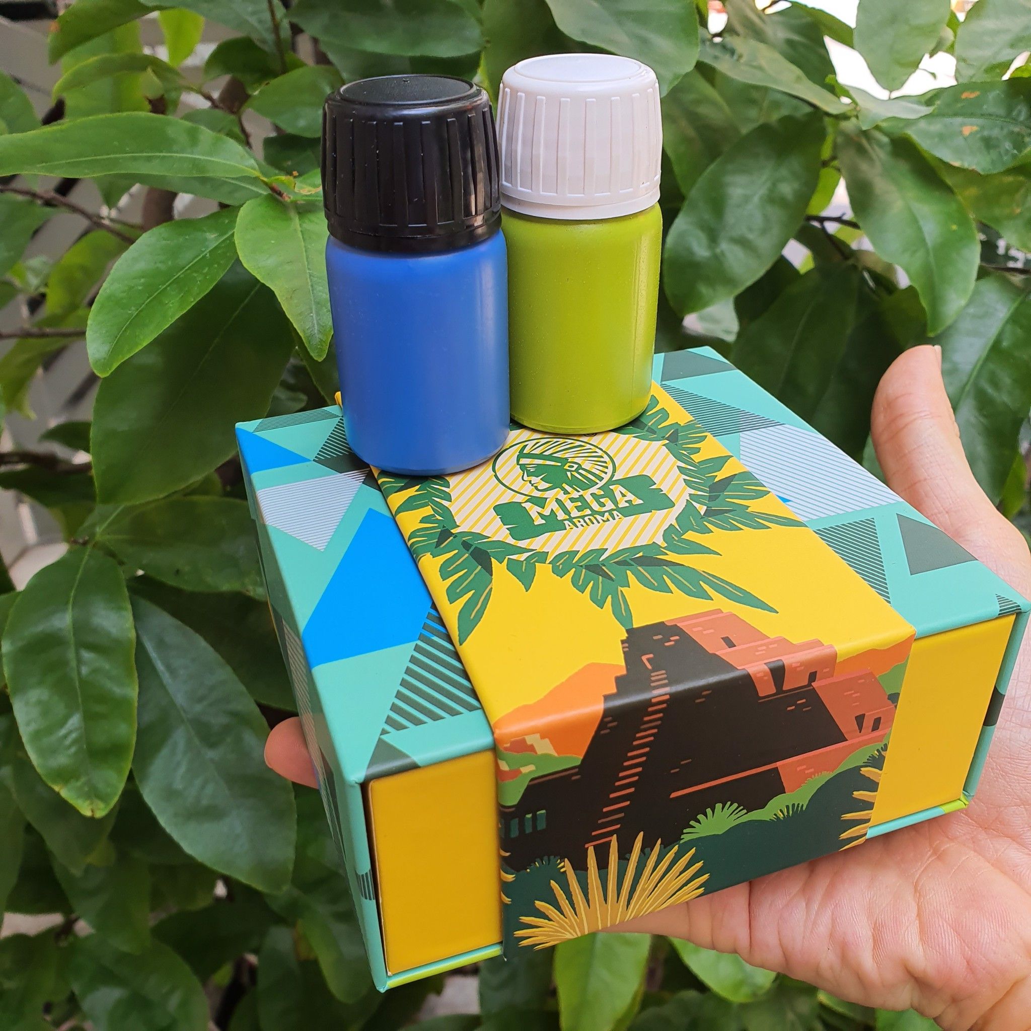 POPPER MEGA CHO BOT + TOP 60ML LUXURY ( TẶNG KÈM 1 LỌ 10ML + BCS DUREX + FREE SHIP 6KM  )