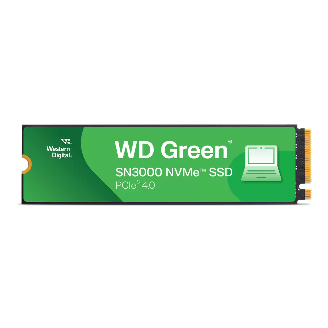 Ổ cứng SSD WD GREEN SN3000 500GB M.2 2280 NVMe PCIe Gen 4x4