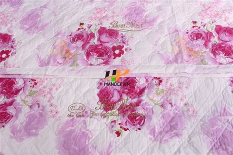 Bộ Drap Cotton Chần Gòn Korea Hà Phương TL-010