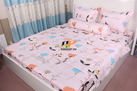  Bộ Drap Cotton Chần Gòn Korea Hà Phương TLA-071 