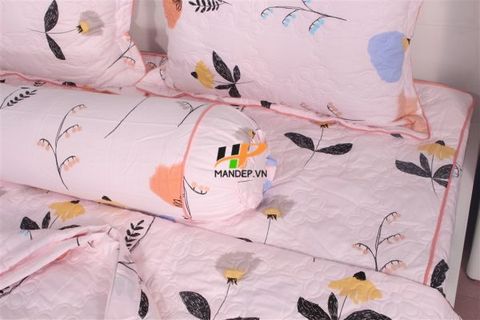 Bộ Drap Cotton Chần Gòn Korea Hà Phương TLA-071