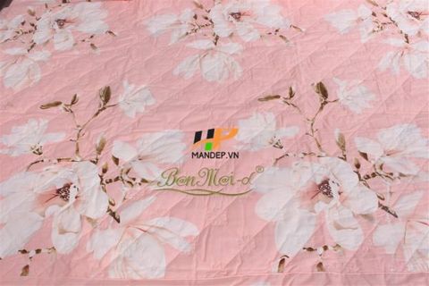 Bộ Drap Cotton Chần Gòn Korea Hà Phương TLA-076