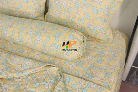 Bộ Drap Cotton Chần Gòn Korea Hà Phương TLA-083
