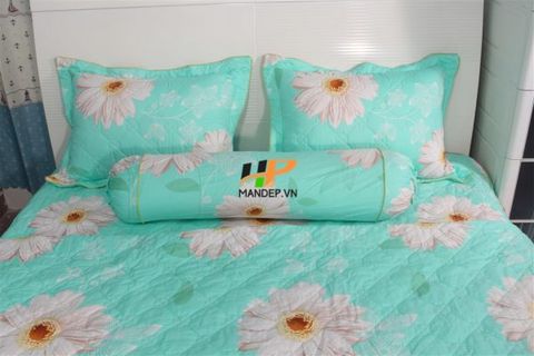 Bộ Drap Cotton Chần Gòn Korea Hà Phương TLA-084