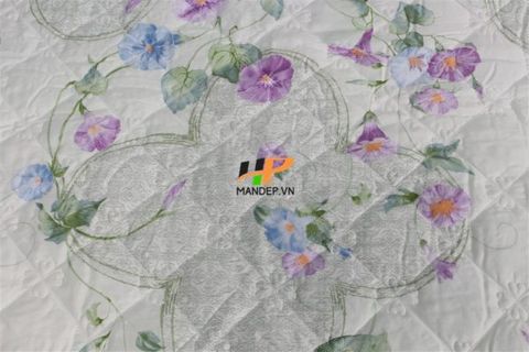Bộ Drap Lụa Satin Chần Gòn Korea Hà Phương TLC-052