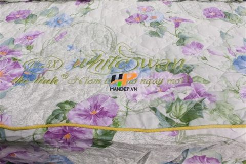 Bộ Drap Lụa Satin Chần Gòn Korea Hà Phương TLC-052