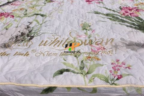 Bộ Drap Lụa Satin Chần Gòn Korea Hà Phương TLC-053