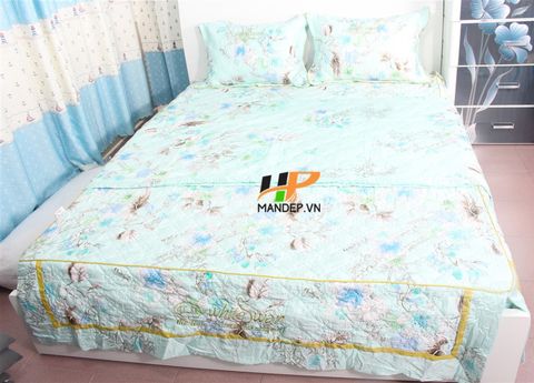 Bộ Drap Lụa Satin Chần Gòn Korea Hà Phương TLC-055