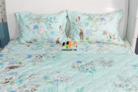 Bộ Drap Lụa Satin Chần Gòn Korea Hà Phương TLC-055