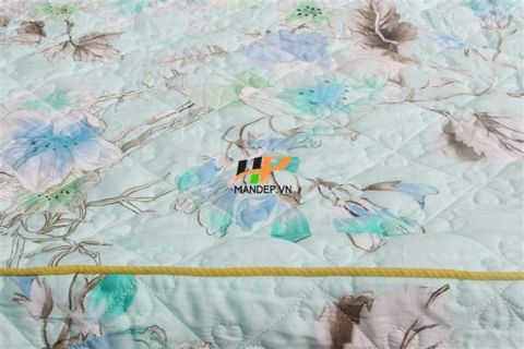 Bộ Drap Lụa Satin Chần Gòn Korea Hà Phương TLC-055