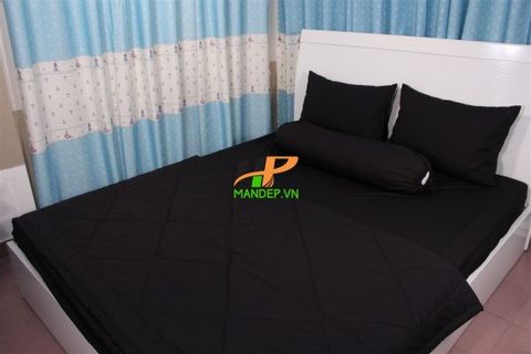 Bộ Drap Cotton Korea Solid Hà Phương DCS6