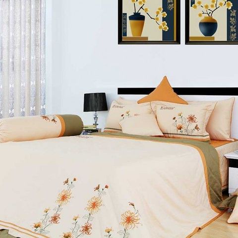 Bộ Drap Cotton Solid ED330