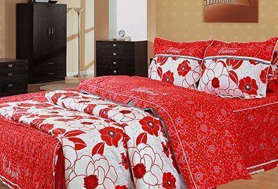 Bộ Drap Cotton Print ED425