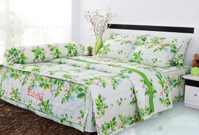  Bộ Drap Cotton Print ED434 