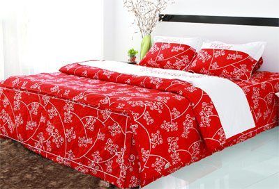 Bộ Drap Cotton Print ED435