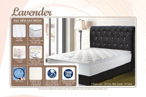 Nệm Lò Xo Lavender