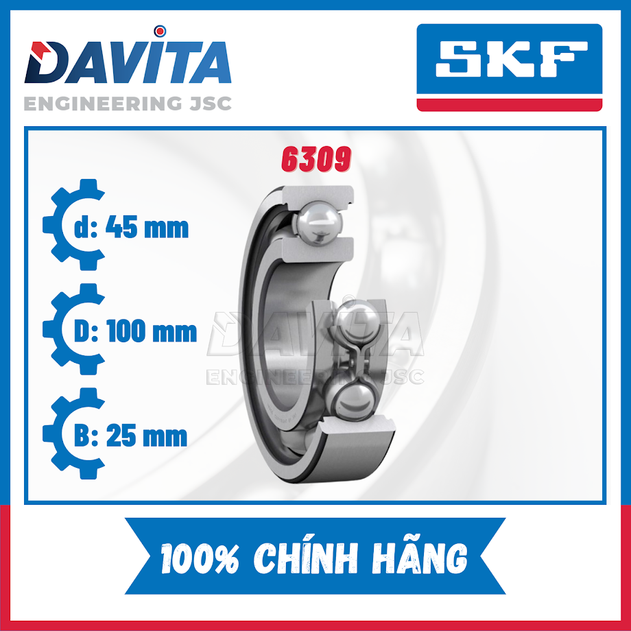 Vòng bi SKF chính hãng 6309, 6309/C3, 6309-2Z, 6309-2Z/C3, 6309-2RS1, 6309-2RS1/C3