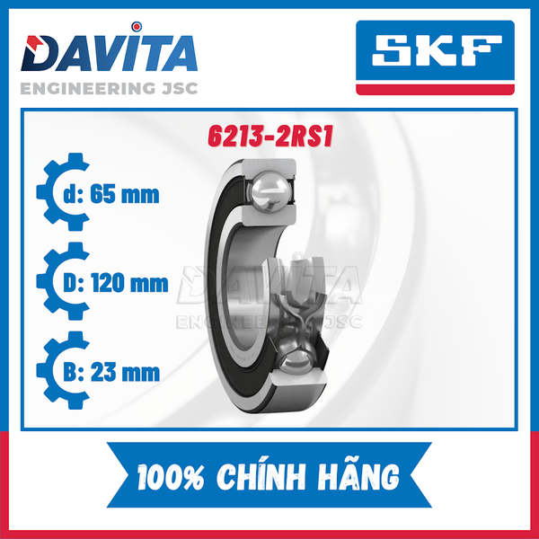 Vòng bi SKF chính hãng 6213, 6213/C3, 6213-2Z, 6213-2Z/C3, 6213-2RS1, 6213-2RS1/C3