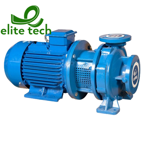 Bơm Ly Tâm EIFEL EAZ Horizontal Monobloc Centrifugal Pump 