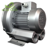 Máy Thổi Khí ATLANTIC AB-100 - Regenerative Blowers