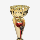  Cúp thể thao 3022 