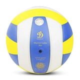  BÓNG CHUYỀN DL 210 M3 
