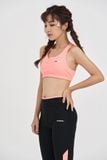  BỘ THỂ THAO TẬP GYM NEXGEN 2203 