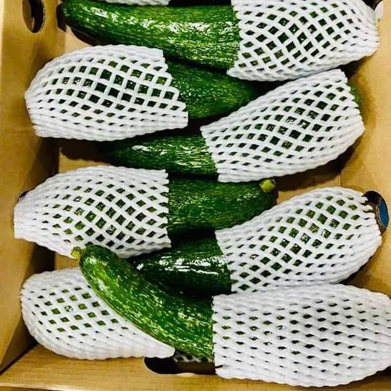  Bơ sáp giống 034 Đà Lạt - kg 
