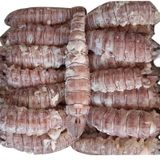  Bề bề tôm tích bóc nõn - Kg 