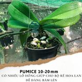  Đá Pumice Namix – Đá bọt size lớn 10 - 20 mm bộ 2 bao x 5 dm3 