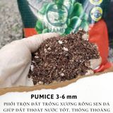  Đá Pumice Namix – Đá bọt size nhỏ 3 - 6 mm bao 5 dm3 