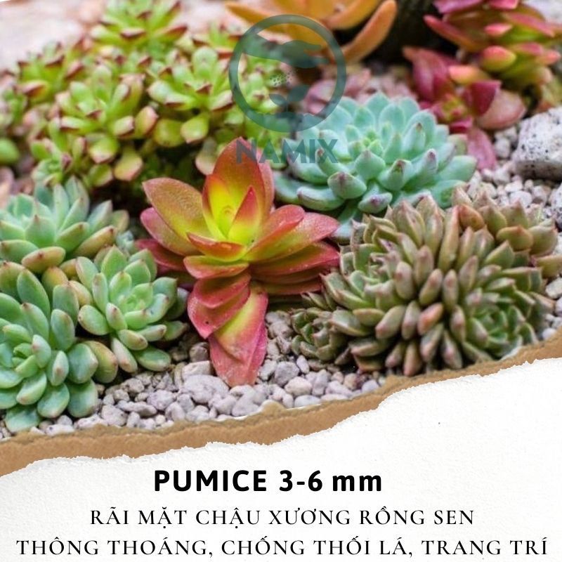  Đá Pumice Namix – Đá bọt size nhỏ 3 - 6 mm bộ 2 bao x 5 dm3 