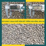  Đá Pumice Namix – Đá bọt size vừa 5 - 8 mm bao 5 dm3 